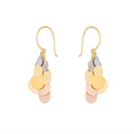 Rainbow Petals Drop Earrings