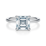 Baxter Hidden Halo Engagement Ring Setting