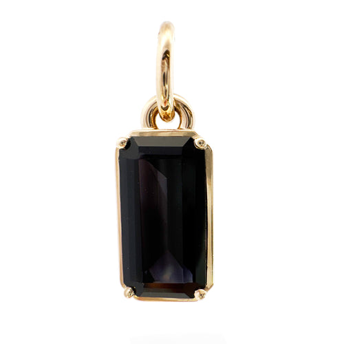 Black Tourmaline Polaris Charm