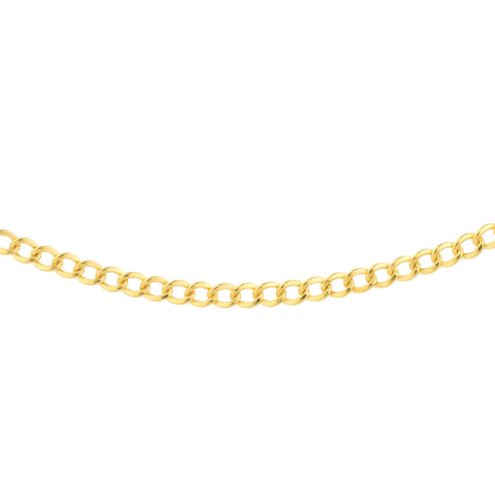 Curb Chain Choker Necklace