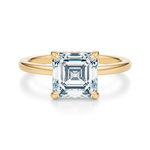 Baxter Hidden Halo Engagement Ring Setting