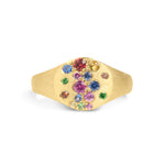 Rainbow Sapphire & Tsavorite Signet Ring
