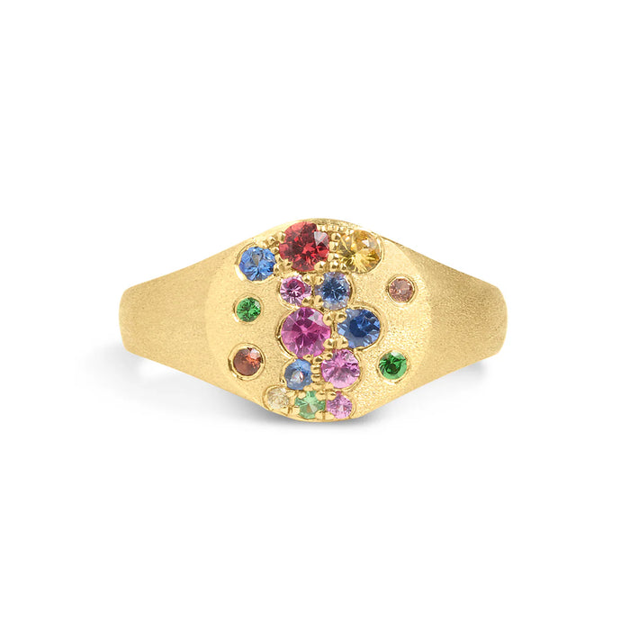 Rainbow Sapphire & Tsavorite Signet Ring