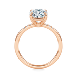 Maiden Engagement Ring Setting