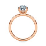 Baxter Hidden Halo Engagement Ring Setting
