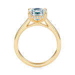 Madison Hidden Halo Engagement Ring Setting