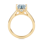 Madison Hidden Halo Engagement Ring Setting