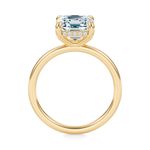 Baxter Hidden Halo Engagement Ring Setting