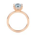 Baxter Hidden Halo Engagement Ring Setting