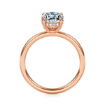 Baxter Hidden Halo Engagement Ring Setting