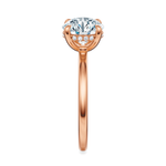 Baxter Hidden Halo Engagement Ring Setting