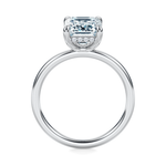 Baxter Hidden Halo Engagement Ring Setting