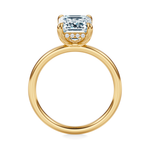 Baxter Hidden Halo Engagement Ring Setting