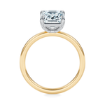 Baxter Hidden Halo Engagement Ring Setting