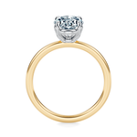 Baxter Hidden Halo Engagement Ring Setting