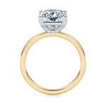Baxter Hidden Halo Engagement Ring Setting