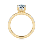 Baxter Pavé Hidden Halo Engagement Ring Setting