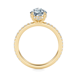Baxter Pavé Hidden Halo Engagement Ring Setting