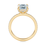 Baxter Pavé Hidden Halo Engagement Ring Setting