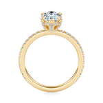 Baxter Full Pavé Engagement Ring Setting