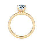 Baxter Full Pavé Engagement Ring Setting