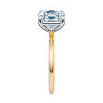 Baxter Hidden Halo Engagement Ring Setting